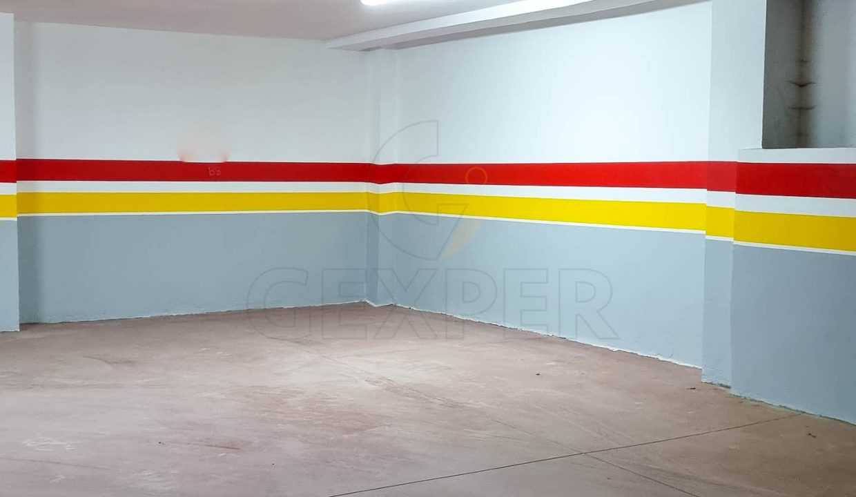 20241015_165719
